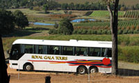 pic_coachinfo