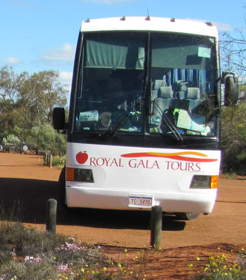 RGT-Coach2